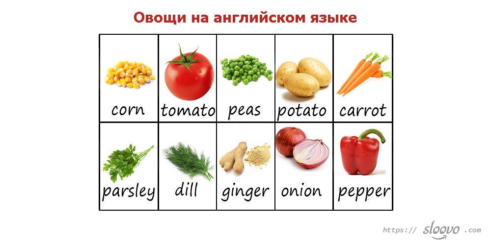 Овощи на английском языке