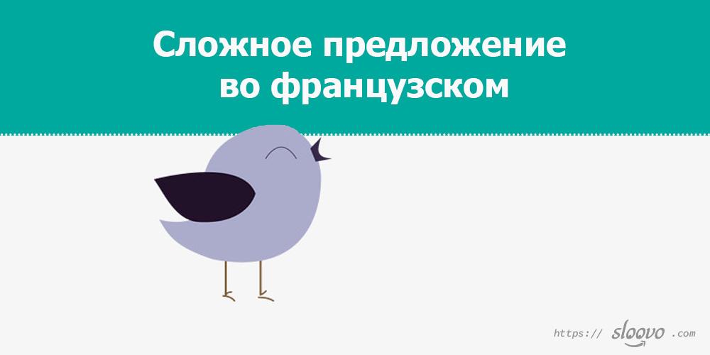 Сложное предложение или фразы на французском