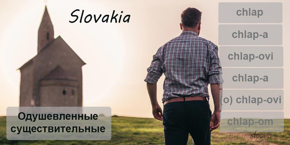 Существительные в словацком языке, которые знают репетиторы по словацкому языку
