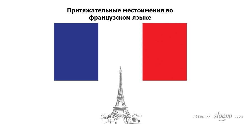 Притяжательные местоимения во французском языке