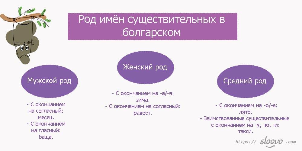 Род имён существительных в болгарском