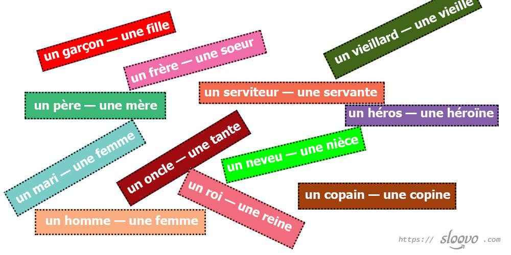 Особые формы существительного во французском языке
