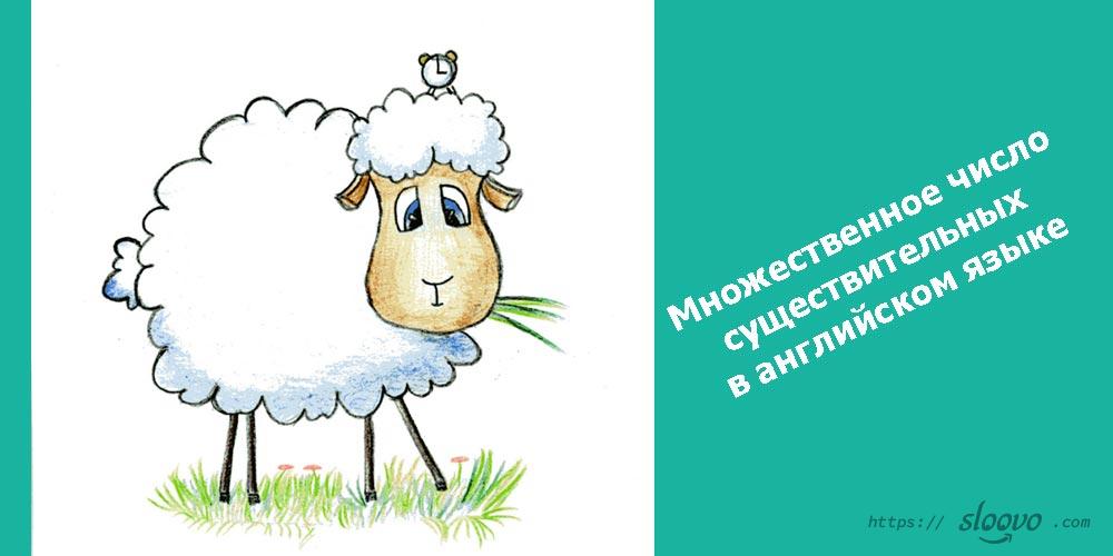 Множественное число существительных в английском языке