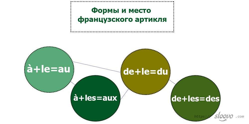 Формы французского артикля