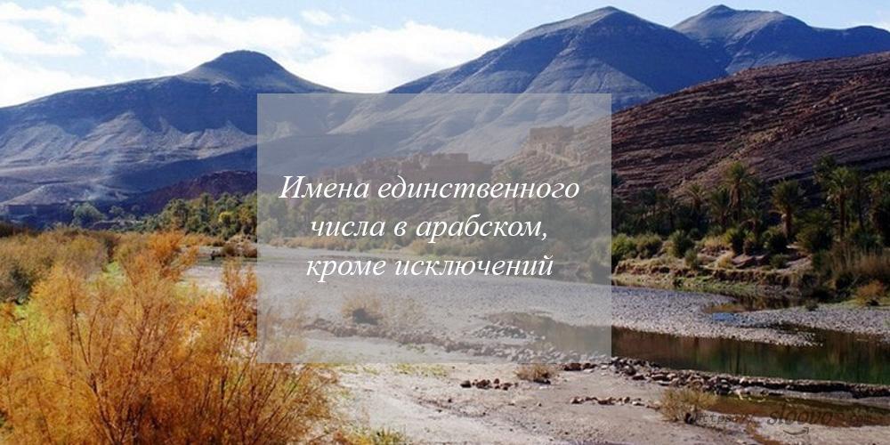 Имена единственного числа в арабском, кроме исключений