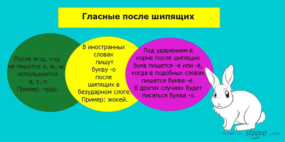 Гласные после шипящих в русском языке