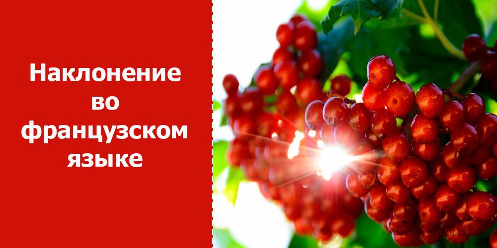 Наклонение во французском и времена во французском языке