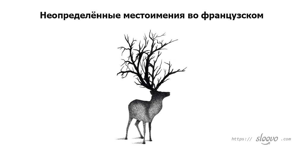 Неопределённые местоимения во французском