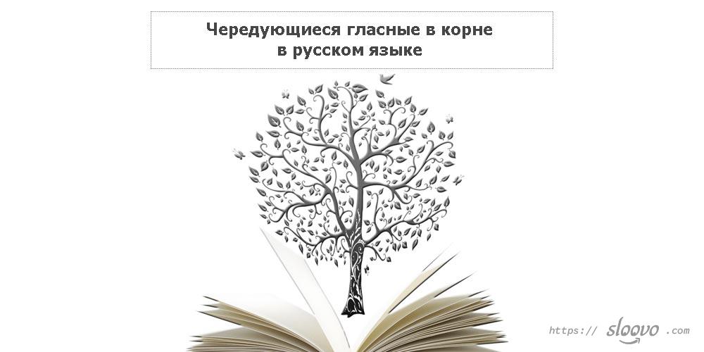 Чередующиеся гласные в корне в русском языке