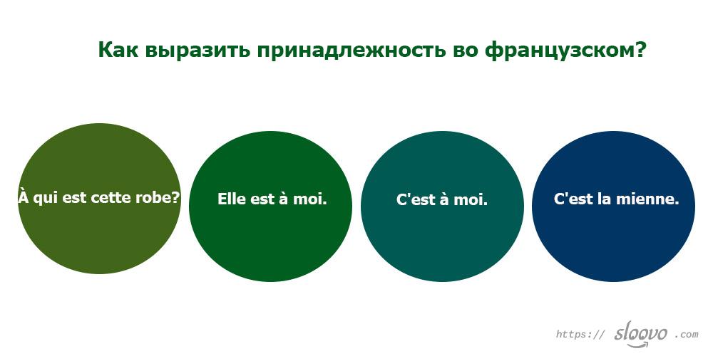 Притяжательные местоимения французский