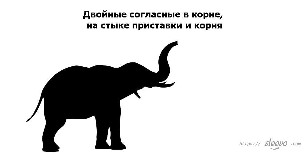 Двойные согласные в корне, на стыке приставки и корня