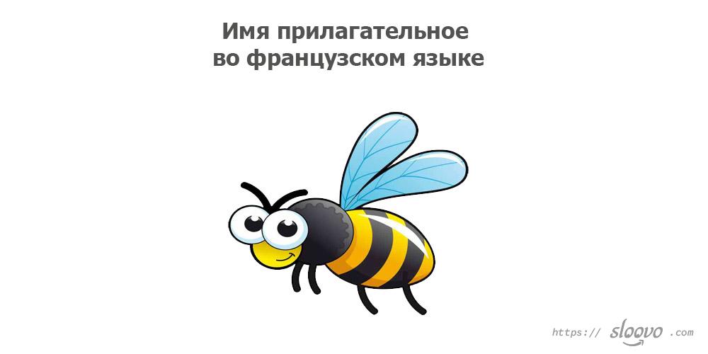 Имя прилагательное во французском языке