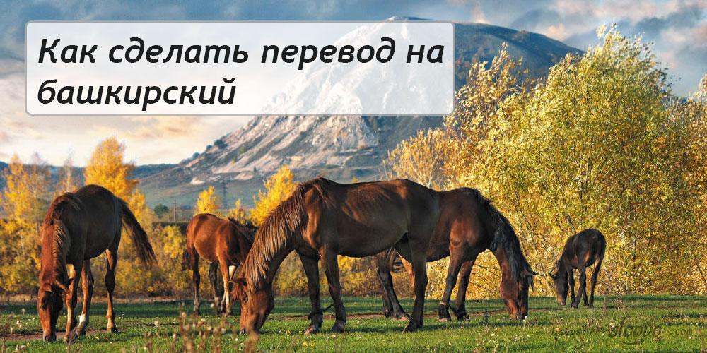 
Как сделать перевод на башкирский язык с русского