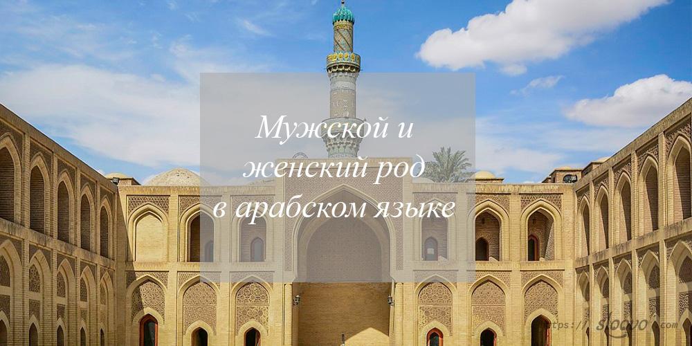 Мужской и женский род в арабском языке