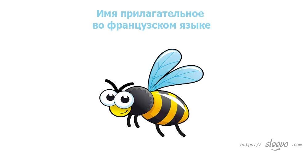 Имя прилагательное во французском языке