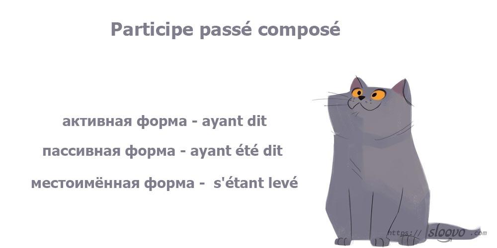 Participe passé composé. Перевод слов с французского на русский язык