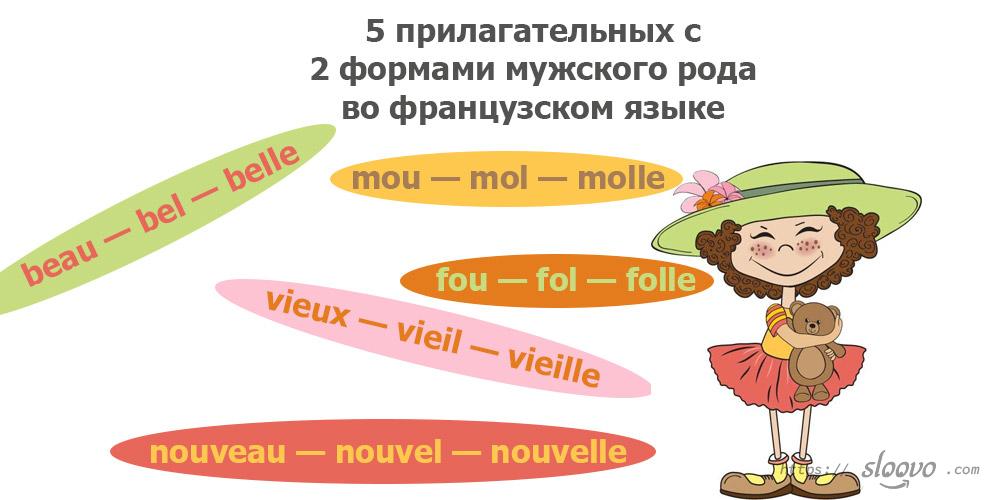 Пять прилагательных с двумя формами мужского рода во французском языке