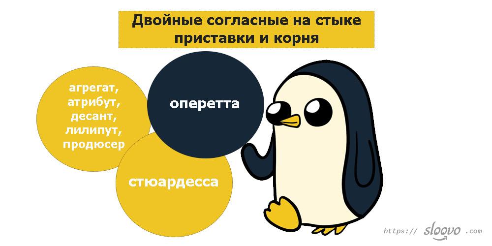 Двойные согласные на стыке приставки и корня в русском языке