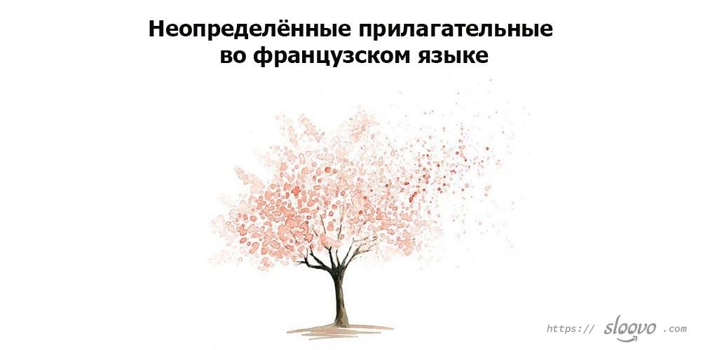 Неопределённые прилагательные во французском языке
