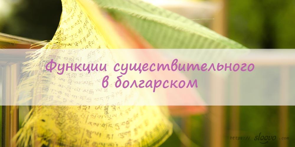 Функции существительного в болгарском