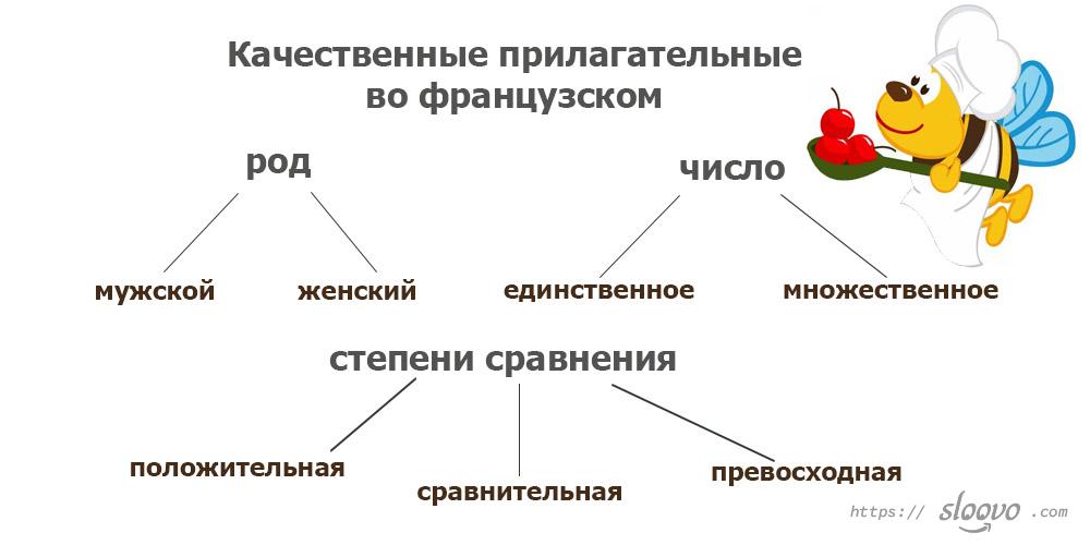 Качественные прилагательные во французском языке