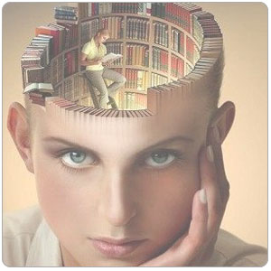 Translation Memory