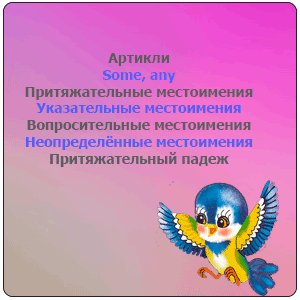 Существительное в роли определения и определители существительных.
